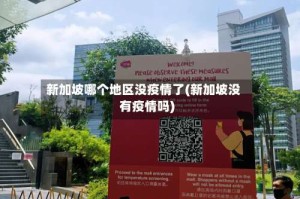 新加坡哪个地区没疫情了(新加坡没有疫情吗)