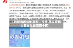 【武汉有哪些地区发生疫情,武汉疫情主要发生在哪两个区】