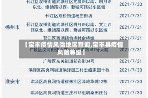 【宝丰疫情风险地区查询,宝丰县疫情风险等级】