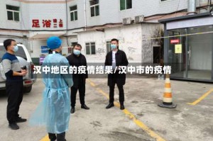 汉中地区的疫情结果/汉中市的疫情