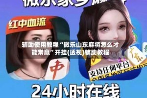 辅助使用教程“微乐山东麻将怎么才能常赢”开挂(透视)辅助教程