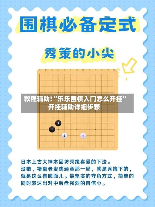 教程辅助!“乐乐围棋入门怎么开挂”开挂辅助详细步骤-第3张图片