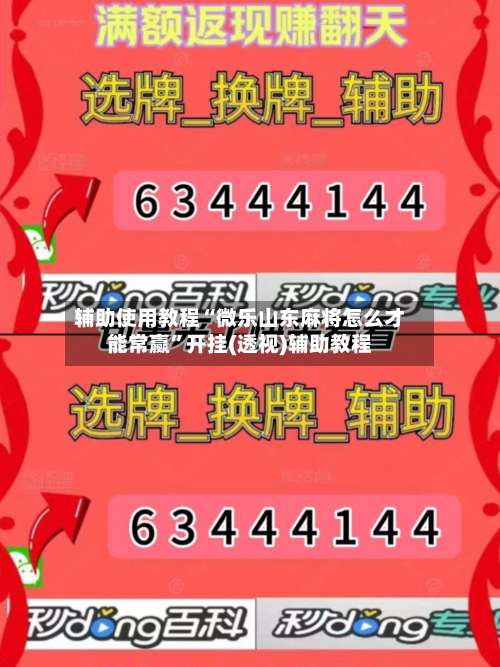 辅助使用教程“微乐山东麻将怎么才能常赢”开挂(透视)辅助教程-第3张图片