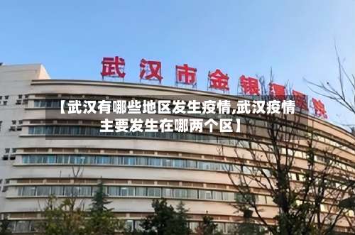 【武汉有哪些地区发生疫情,武汉疫情主要发生在哪两个区】-第2张图片