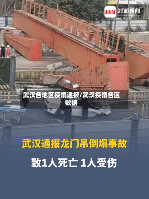 武汉各地区疫情通报/武汉疫情各区数据-第3张图片