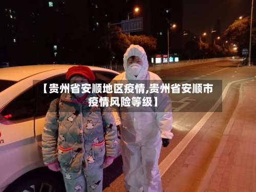 【贵州省安顺地区疫情,贵州省安顺市疫情风险等级】-第3张图片