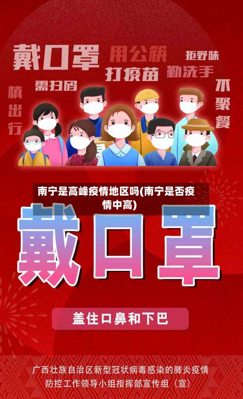 南宁是高峰疫情地区吗(南宁是否疫情中高)-第1张图片