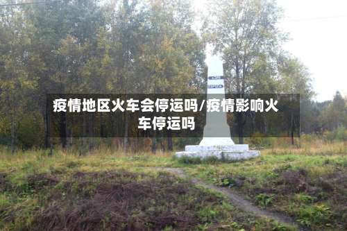 疫情地区火车会停运吗/疫情影响火车停运吗-第2张图片