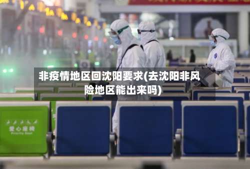 非疫情地区回沈阳要求(去沈阳非风险地区能出来吗)-第1张图片