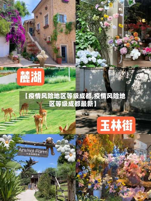 【疫情风险地区等级成都,疫情风险地区等级成都最新】-第1张图片