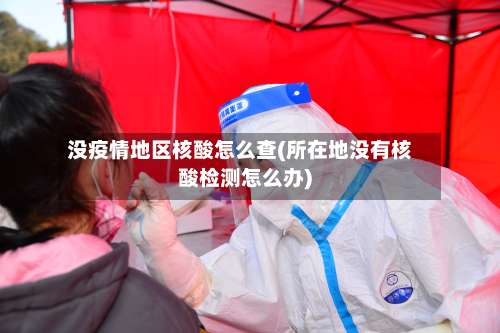 没疫情地区核酸怎么查(所在地没有核酸检测怎么办)-第2张图片