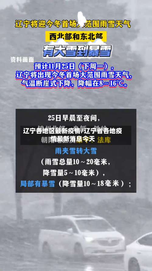 辽宁各地区最新疫情/辽宁省各地疫情最新消息今天-第2张图片