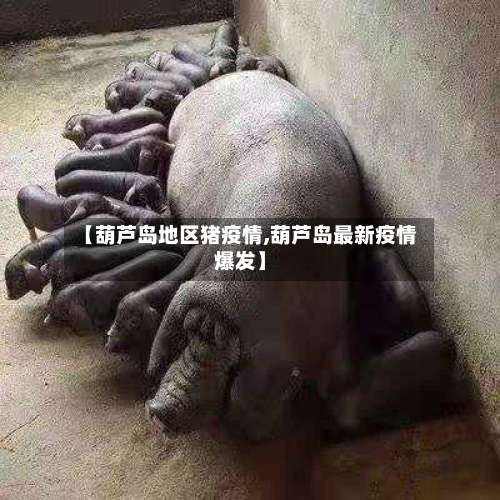 【葫芦岛地区猪疫情,葫芦岛最新疫情爆发】-第2张图片