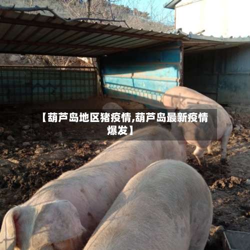 【葫芦岛地区猪疫情,葫芦岛最新疫情爆发】-第1张图片