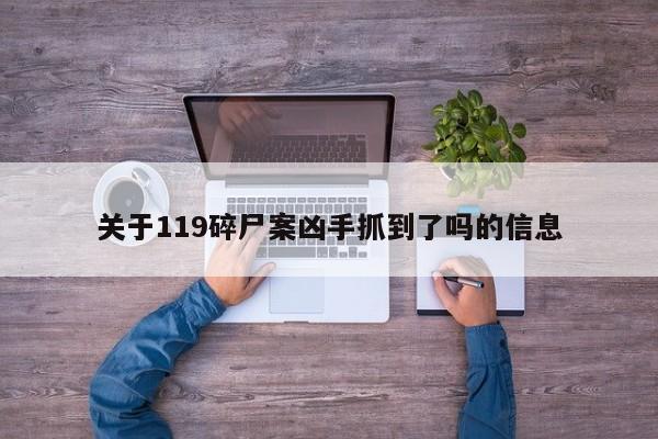关于119碎尸案凶手抓到了吗的信息