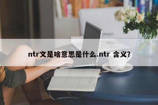 ntr文是啥意思是什么.ntr 含义?